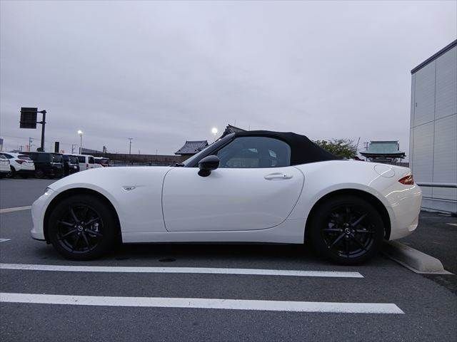 ROADSTER