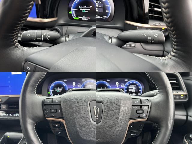 CROWN SPORT