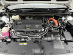 CROWN SPORT