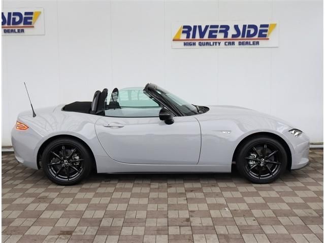 ROADSTER