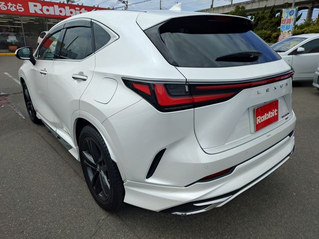 LEXUS NX350h AWD