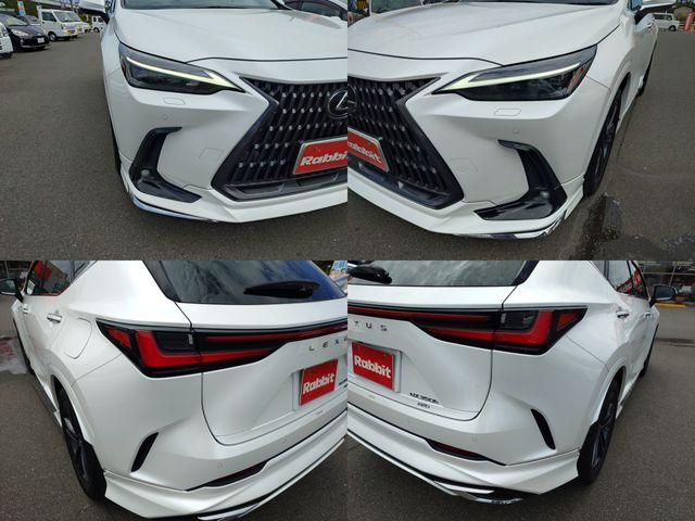 LEXUS NX350h AWD