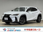 LEXUS UX250h