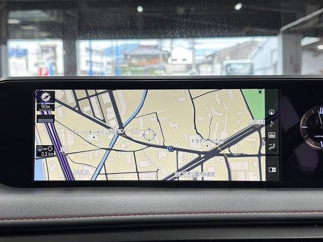 LEXUS UX250h