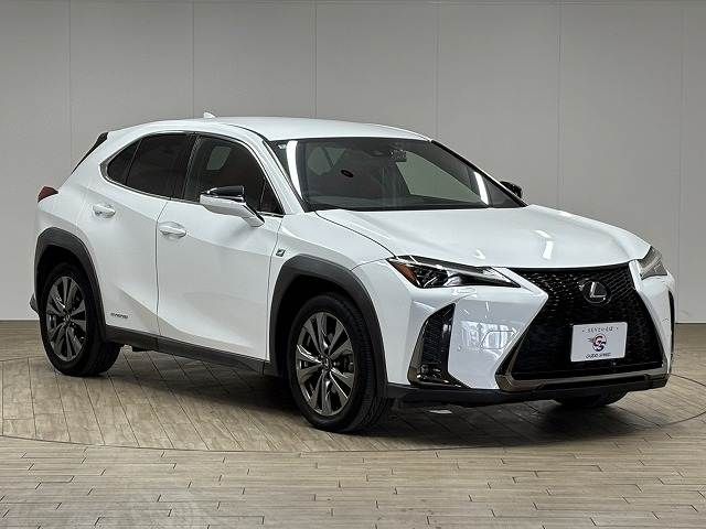 LEXUS UX250h