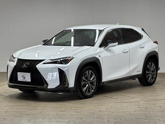 LEXUS UX250h