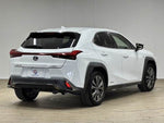 LEXUS UX250h