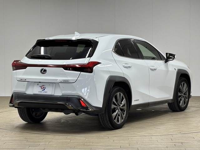 LEXUS UX250h