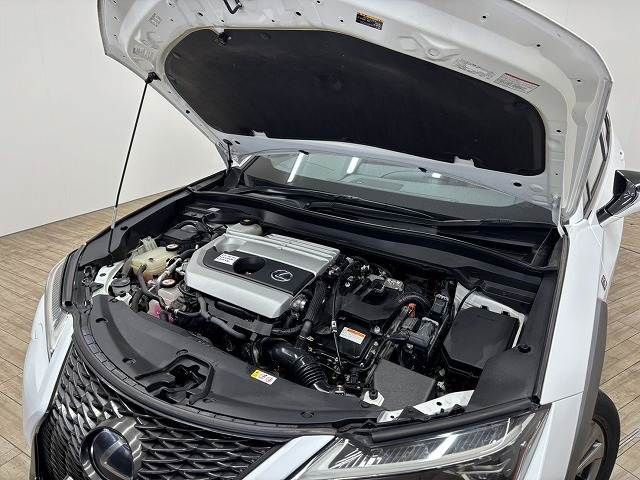 LEXUS UX250h