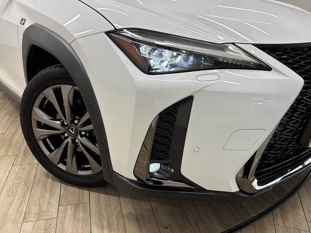 LEXUS UX250h