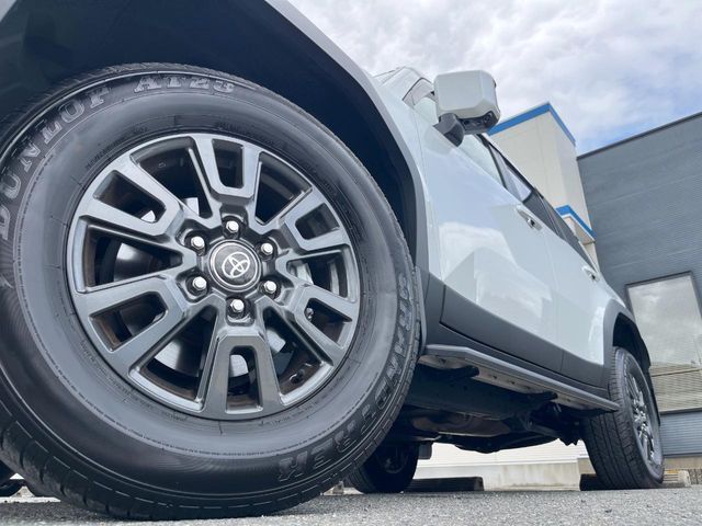 LANDCRUISER 250