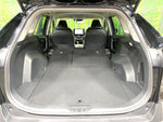 RAV4 HYBRID 4WD
