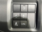 RAIZE HYBRID