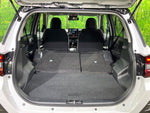 RAIZE HYBRID