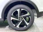 RAIZE HYBRID