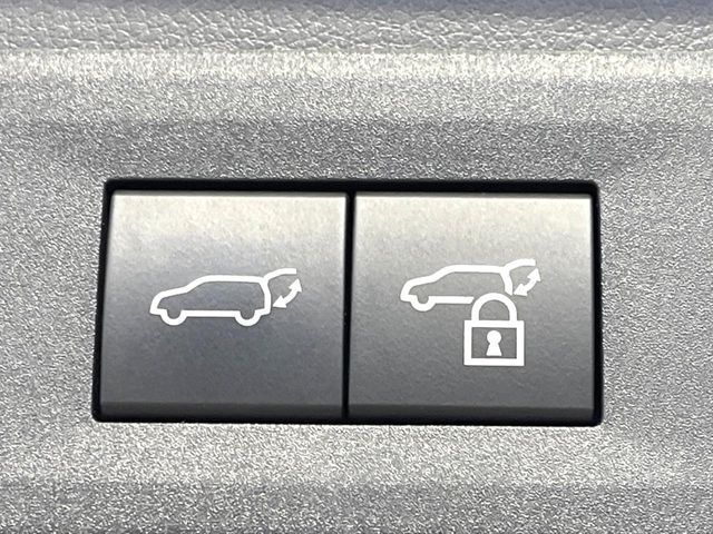 LEXUS NX350h