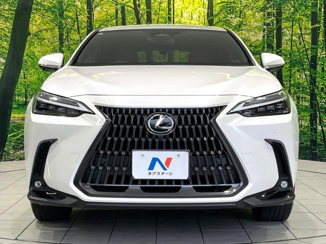 LEXUS NX350h
