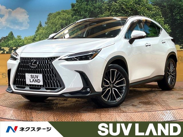 LEXUS NX350h AWD