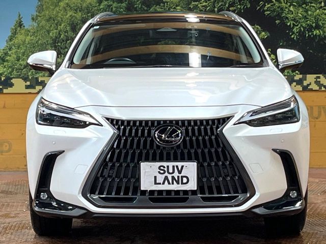 LEXUS NX350h AWD