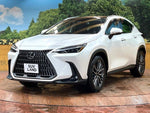LEXUS NX350h AWD