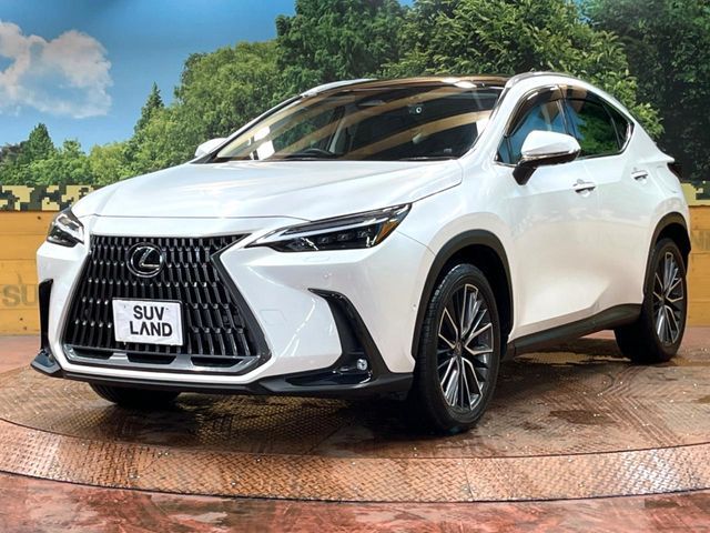LEXUS NX350h AWD