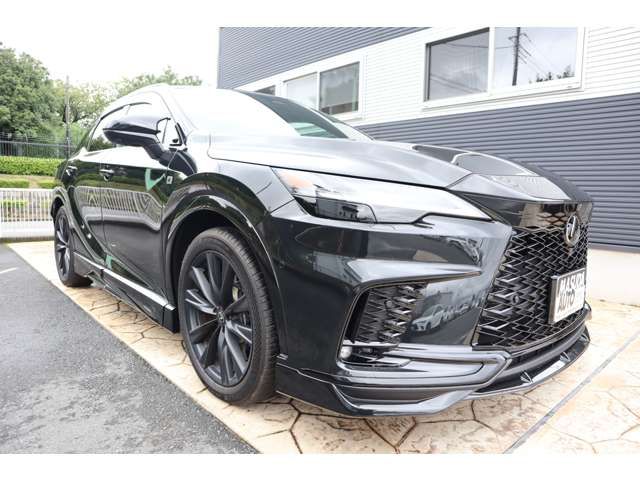 LEXUS RX500h