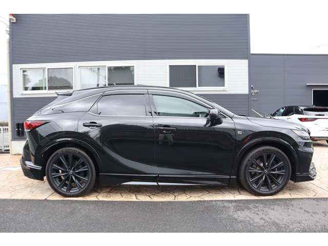 LEXUS RX500h