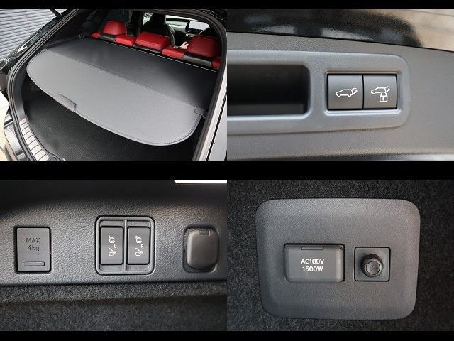 LEXUS RX500h