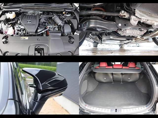 LEXUS RX500h
