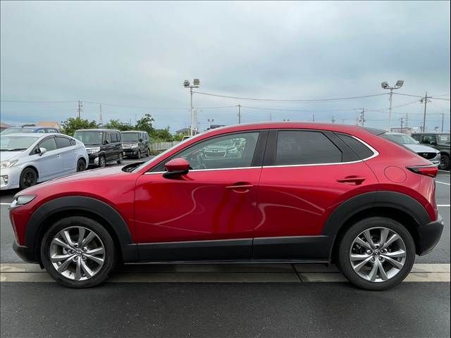 CX-30