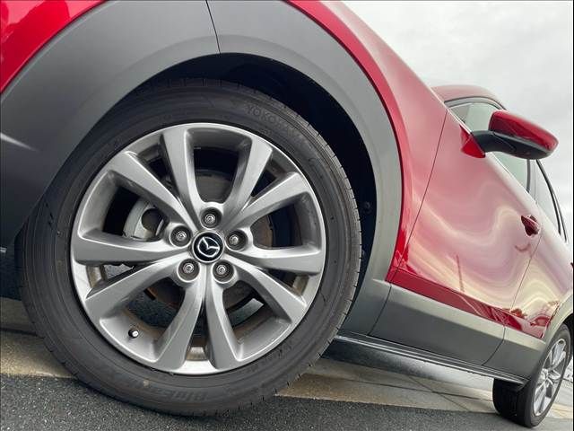 CX-30