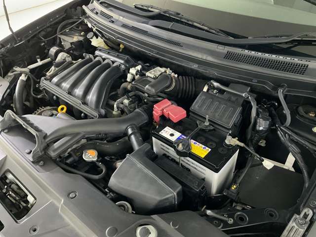 BLUEBIRD SYLPHY