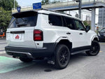 LANDCRUISER 250