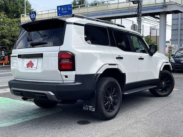LANDCRUISER 250