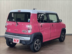 HUSTLER 4WD