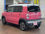 HUSTLER 4WD