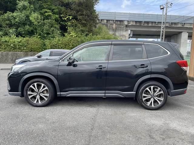 FORESTER