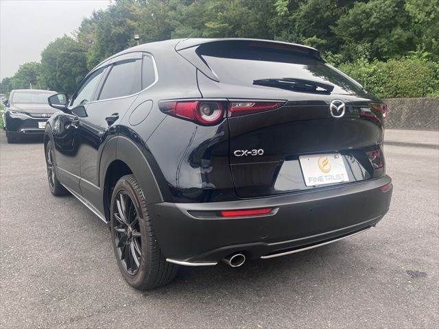 CX-30