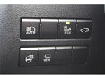 LEXUS NX300