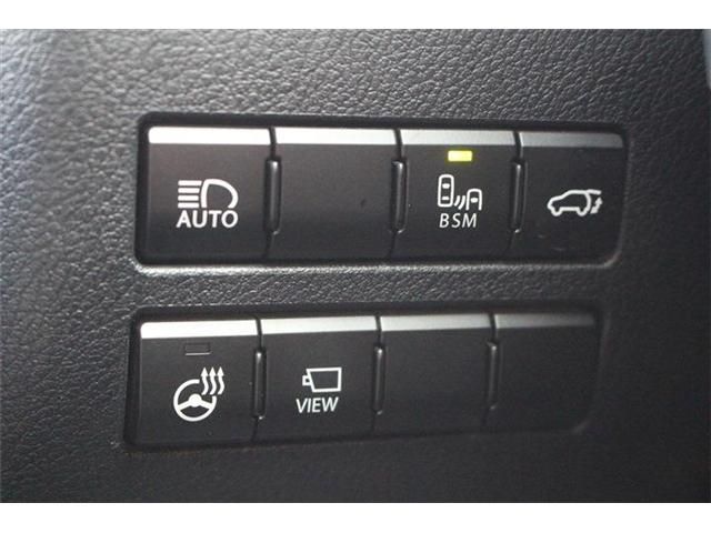 LEXUS NX300