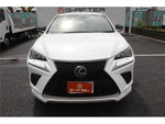 LEXUS NX300