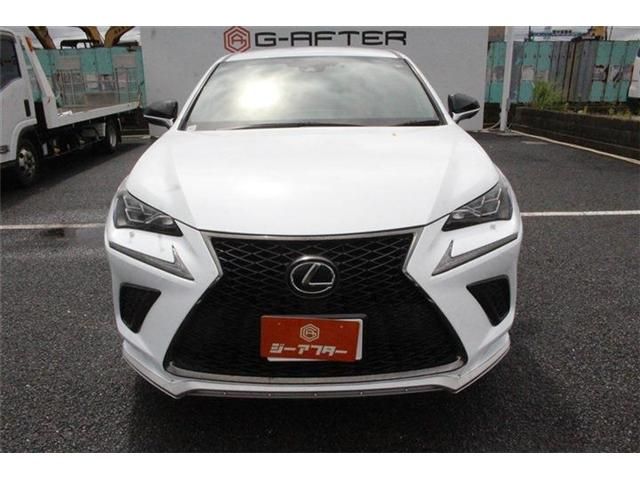 LEXUS NX300