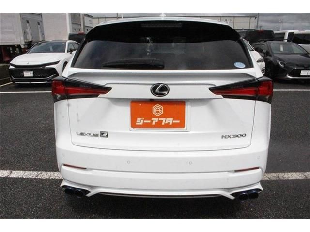 LEXUS NX300