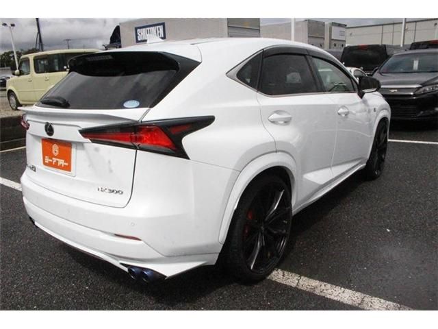 LEXUS NX300