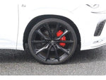LEXUS NX300