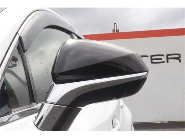 LEXUS NX300