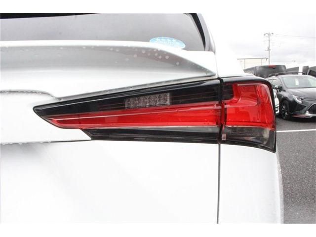 LEXUS NX300
