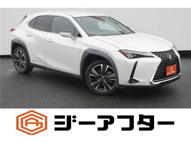LEXUS UX250h