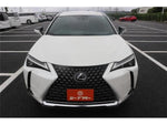 LEXUS UX250h