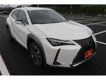 LEXUS UX250h